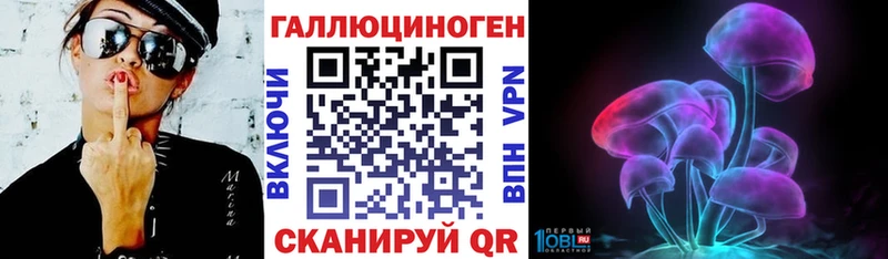 Галлюциногенные грибы Psilocybe Северодвинск