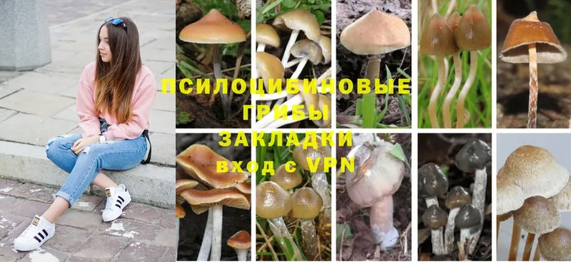 Псилоцибиновые грибы GOLDEN TEACHER  OMG ONION  Северодвинск 