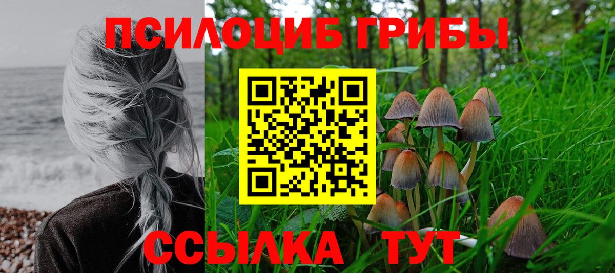 Галлюциногенные грибы MAGIC MUSHROOMS  Вход с VPN  Галлюциногенные грибы Magic Shrooms  Северодвинск 