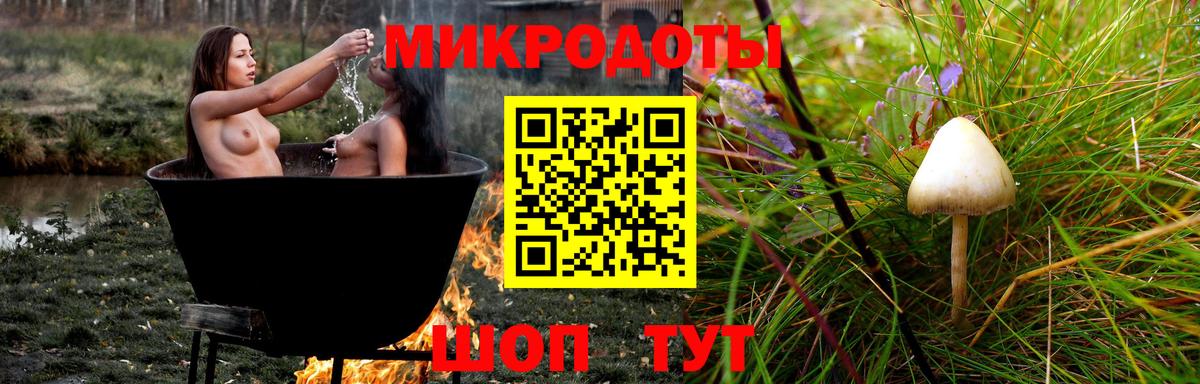 Галлюциногенные грибы Psilocybe Северодвинск