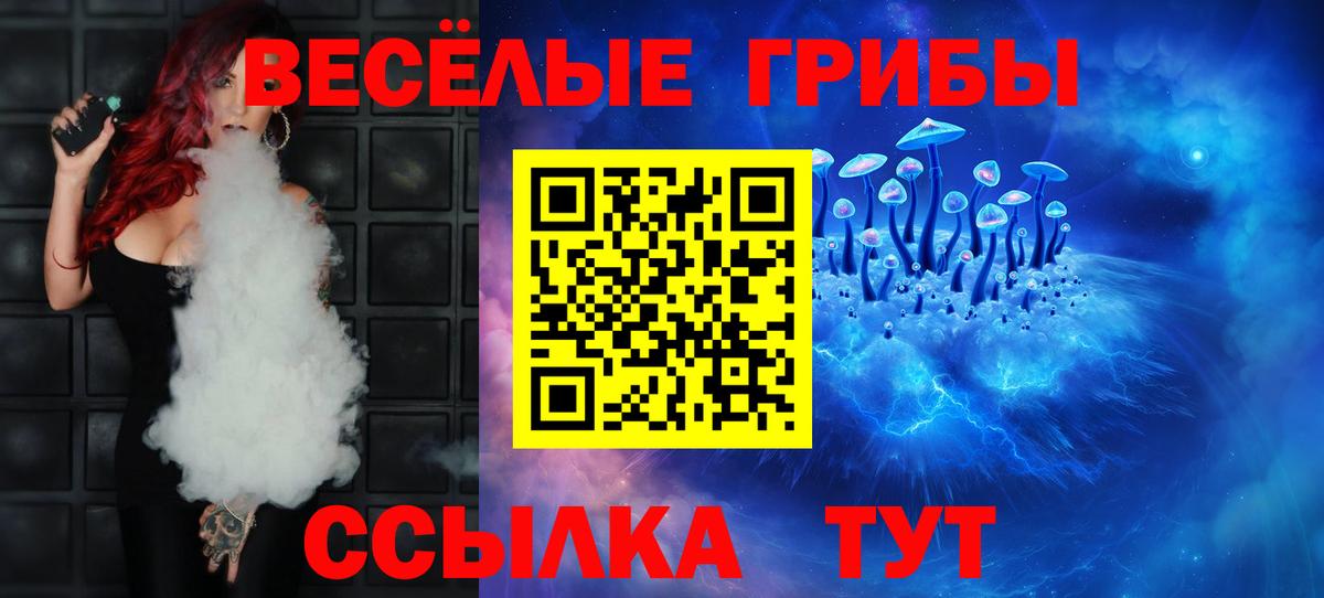 Галлюциногенные грибы мицелий  Северодвинск  Галлюциногенные грибы Psilocybe 