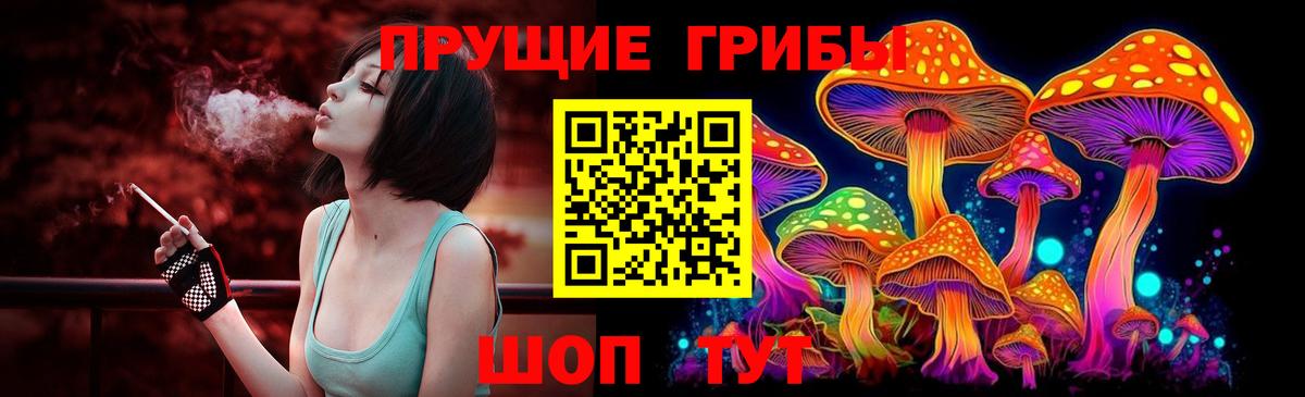 Галлюциногенные грибы GOLDEN TEACHER Северодвинск